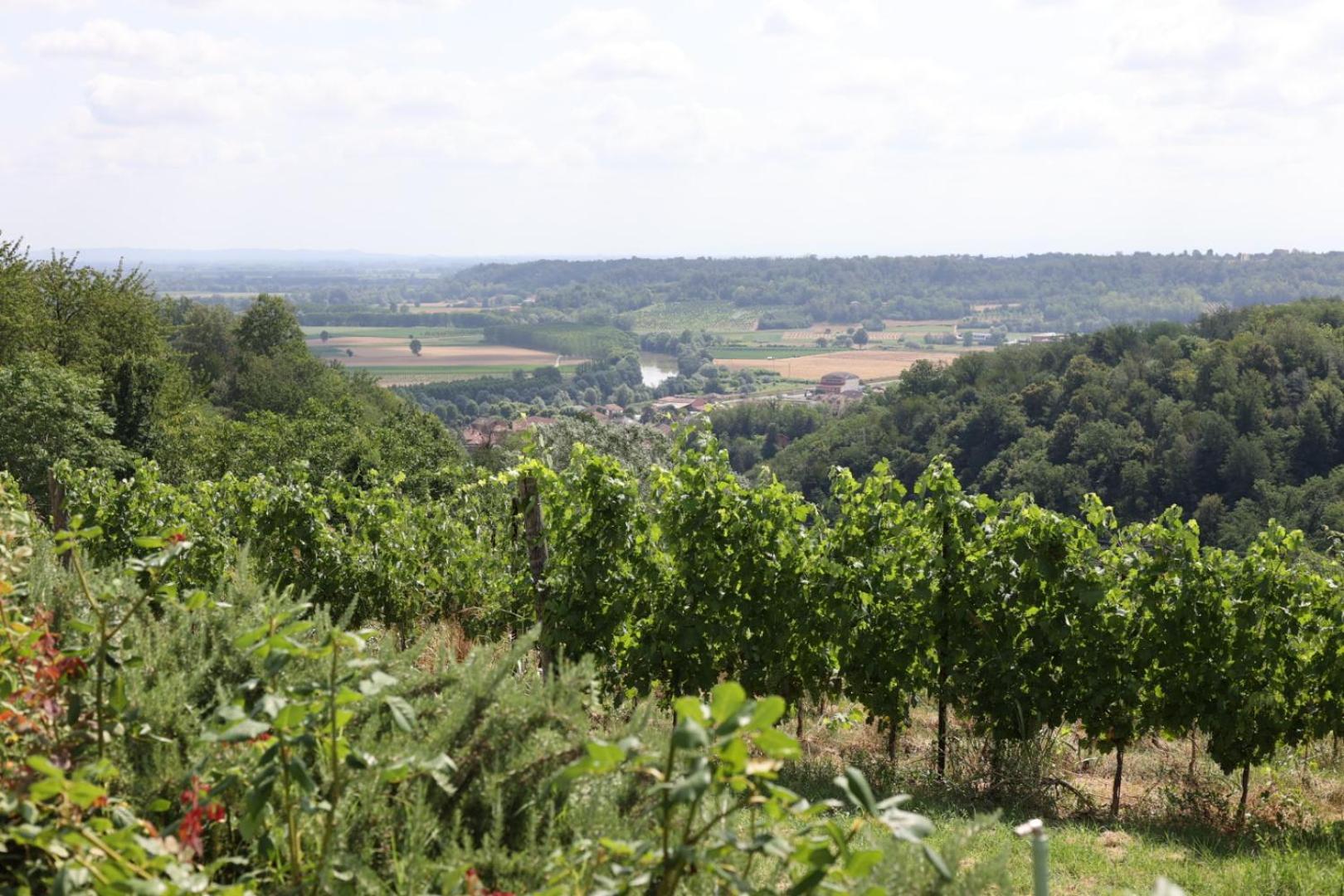 Braida Wine Resort Rocchetta Tanaro Екстер'єр фото